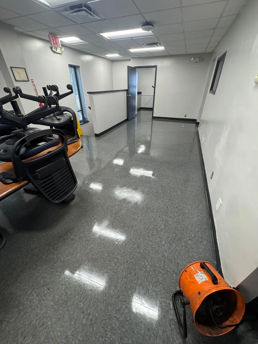 Commercial floor care